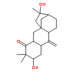 (2S,4aR,7S,8R,10aR,11aS)-2,7-dihydroxy-3,3,7-trimethyl-11-methylidenedodecahydro-5a,8-methanocyclohepta[b]naphthalen-4(1H)-one