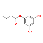 (S)-(+)-(2-methylbutyryl)phloroglucinol