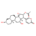 12beta-hydroxycinobufagin