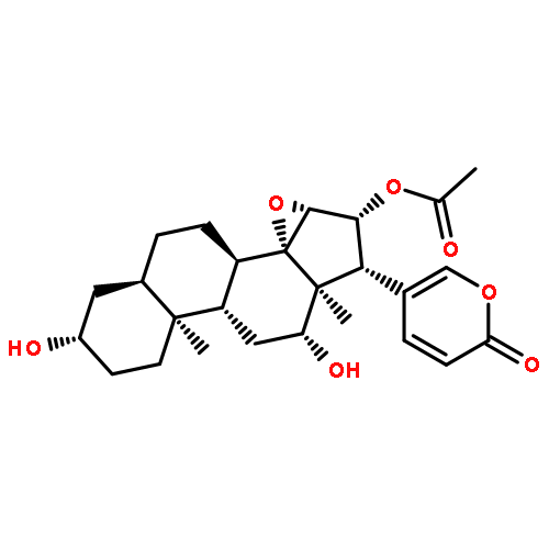 12beta-hydroxycinobufagin