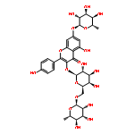 4H-1-Benzopyran-4-one,3-[[6-O-(6-deoxy-a-L-mannopyranosyl)-b-D-galactopyranosyl]oxy]-7-[(6-deoxy-a-L-mannopyranosyl)oxy]-5-hydroxy-2-(4-hydroxyphenyl)-