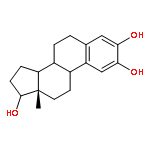 2-HYDROXYESTRADIOL 