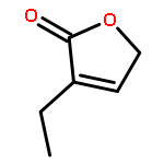 4-ETHYL-2H-FURAN-5-ONE