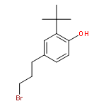 4-(3-BROMOPROPYL)-2-TERT-BUTYLPHENOL