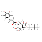 5-O-Caffeoyl quinic acid butyl ester