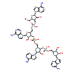 ADENYLYL-(3'-5')-ADENYLYL-(3'-5')-ADENYLYL-(3'-5')-ADENOSINE