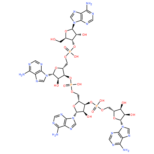 ADENYLYL-(3'-5')-ADENYLYL-(3'-5')-ADENYLYL-(3'-5')-ADENOSINE