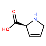 3,4-Dehydro-L-proline