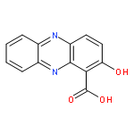 2-hydroxyphenazine-1-carboxylic acid