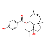 2-METHYL-1-BUTANOL