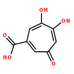 5,6-dihydroxy-3-oxocyclohepta-1,4,6-triene-1-carboxylic acid