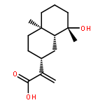 Ilicic acid