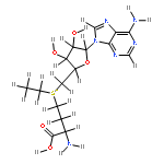 S-Adenosylaethionin