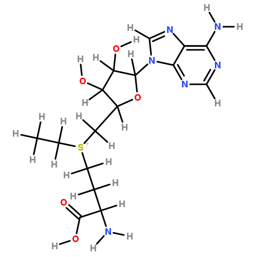 S-Adenosylaethionin