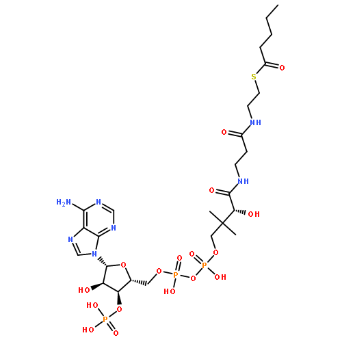 Coenzyme A,S-pentanoate