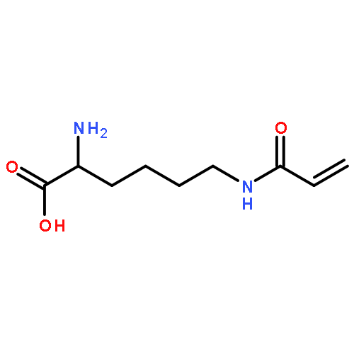 2-amino-6-(prop-2-enoylamino)hexanoic Acid