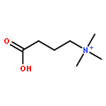 (4-HYDROXY-4-OXOBUTYL)-TRIMETHYLAZANIUM