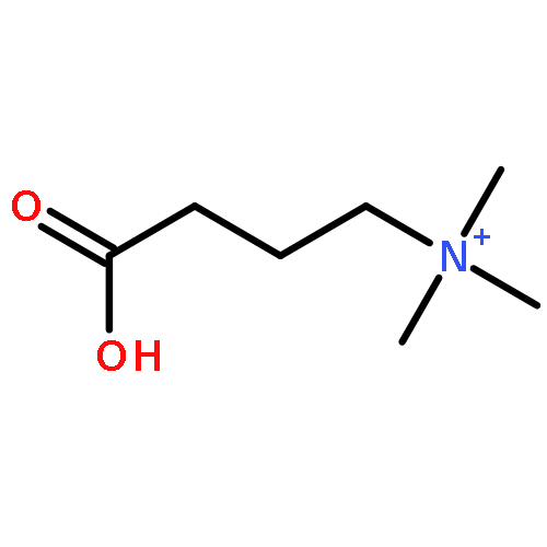 (4-HYDROXY-4-OXOBUTYL)-TRIMETHYLAZANIUM