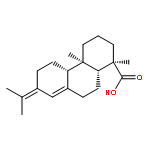 NEOABIETIC ACID