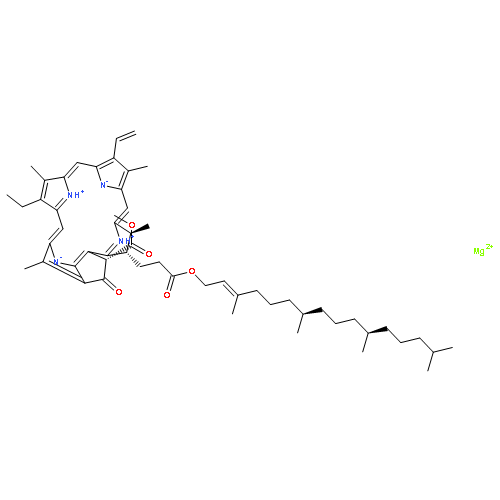 Chlorophyll,paste