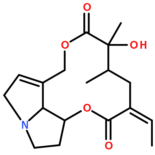 squalidine