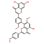 5,7,5'-trihydroxy-7'-methoxy-2'-(4-methoxy-phenyl)-2,8'-(4-methoxy-m-phenylene)-bis-chromen-4-one