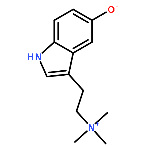 3-[2-(trimethylammonio)ethyl]-1H-indol-5-olate