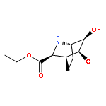 2-AZABICYCLO[2.2.2]OCTANE-3-CARBOXYLIC ACID, 5,6-DIHYDROXY-, ETHYL ESTER, (1S,3S,4S,5S,6R)- (9CI)