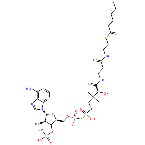 Coenzyme A, S-hexanoate