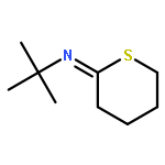 2-Propanamine, 2-methyl-N-(tetrahydro-2H-thiopyran-2-ylidene)-