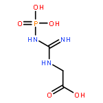 Glycine,N-[imino(phosphonoamino)methyl]-