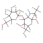 beta-D--Galaktosido-(1->3)-N-acetyl-D-galaktosamin