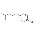 4-(3-methylbutoxy)aniline