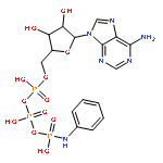 5'-O-{hydroxy[(hydroxy{[hydroxy(phenylamino)phosphoryl]oxy}phosphoryl)oxy]phosphoryl}adenosine