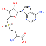 Adenosine, 5'-[(3-amino-3-carboxypropyl)sulfonyl]-5'-deoxy-, (S)-