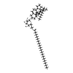 6'-stearoyl-3-O-beta-D-glucopyranosyl-beta-sitosterol