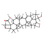 Lycernuic acid B