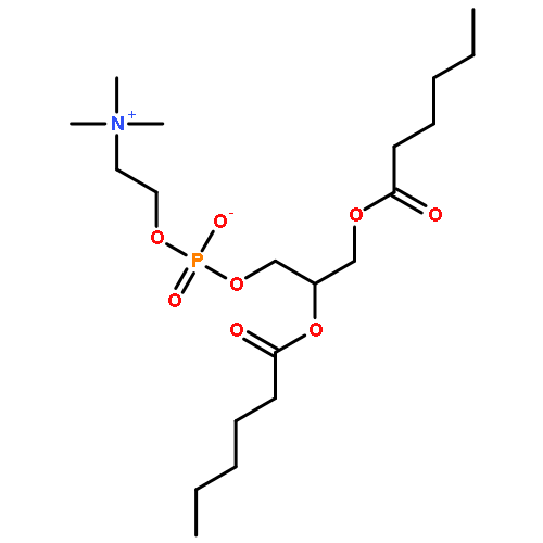 2,3-bis(hexanoyloxy)propyl 2-(trimethylammonio)ethyl phosphate