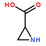 Aziridine-2-carboxylic acid