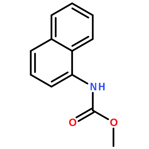 methyl naphthalen-1-ylcarbamate