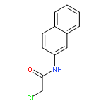 Acetamide,2-chloro-N-2-naphthalenyl-