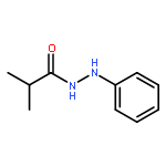 2-methyl-N'-phenylpropanehydrazide