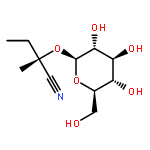 (2S)-2-(beta-D-glucopyranosyloxy)-2-methylbutanenitrile