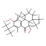 6alpha-Hydroxy-7-oxo-ferruginol