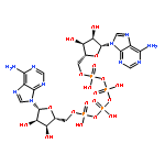 Adenosine5'-(pentahydrogen tetraphosphate), P'''®5'-ester with adenosine