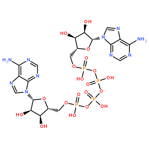 Adenosine5'-(pentahydrogen tetraphosphate), P'''®5'-ester with adenosine