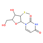 Uridine, 2'-S-methyl-2'-thio-