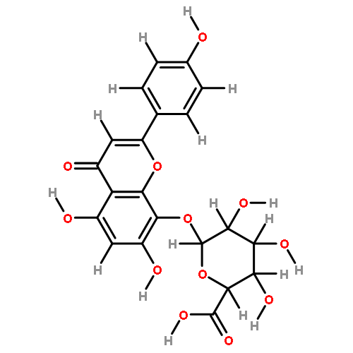 isoscutellarein 8-O-beta-D-glucuronide