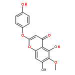 Capillarisin