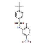 4-TERT-BUTYL-N-(2-METHYL-5-NITROPHENYL)BENZENESULFONAMIDE